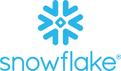 sapien_tech_snowflake.webp